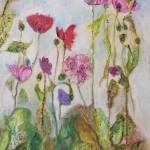 Maine Poppies