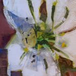 Sundew